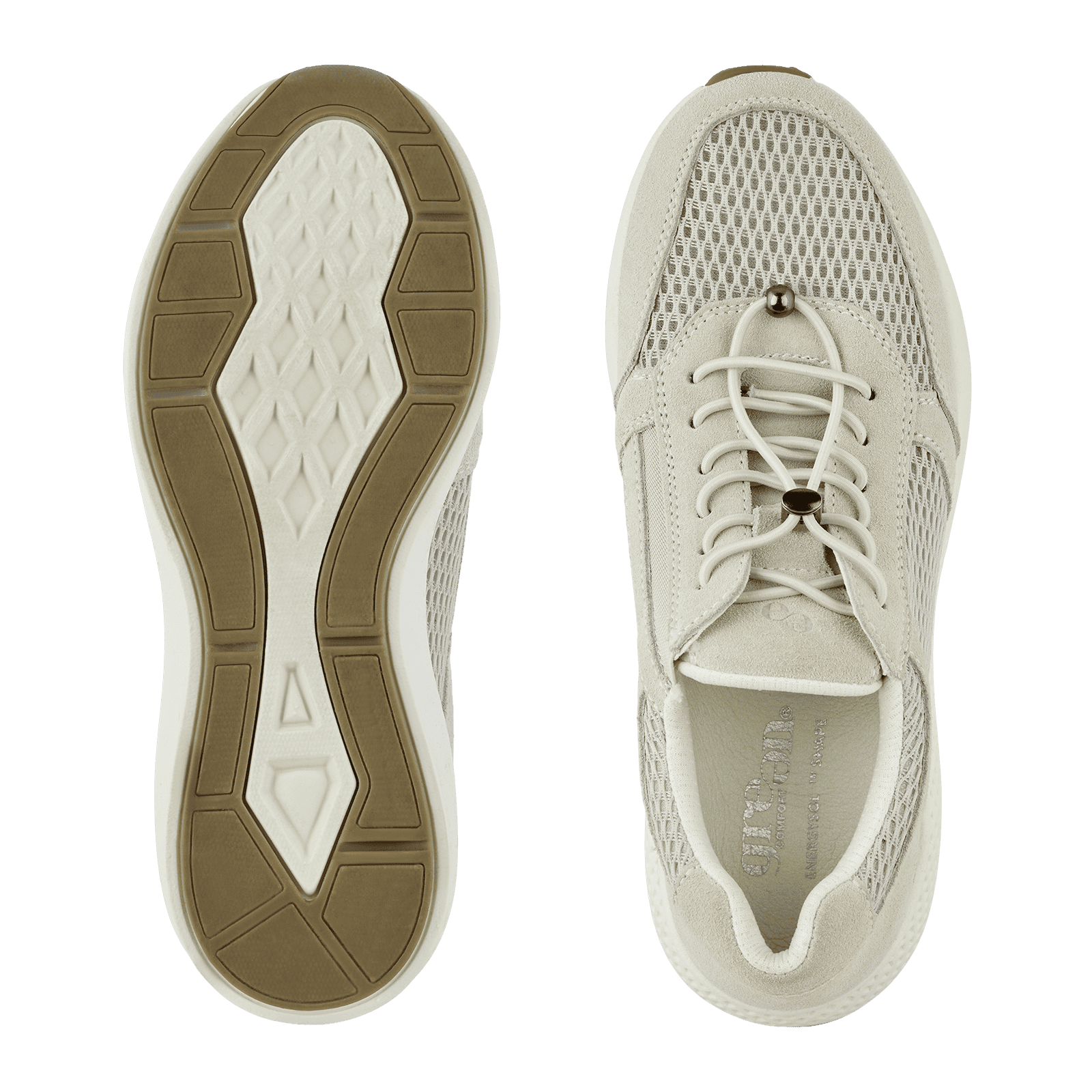 DOLPHIN DICTE - WHITE